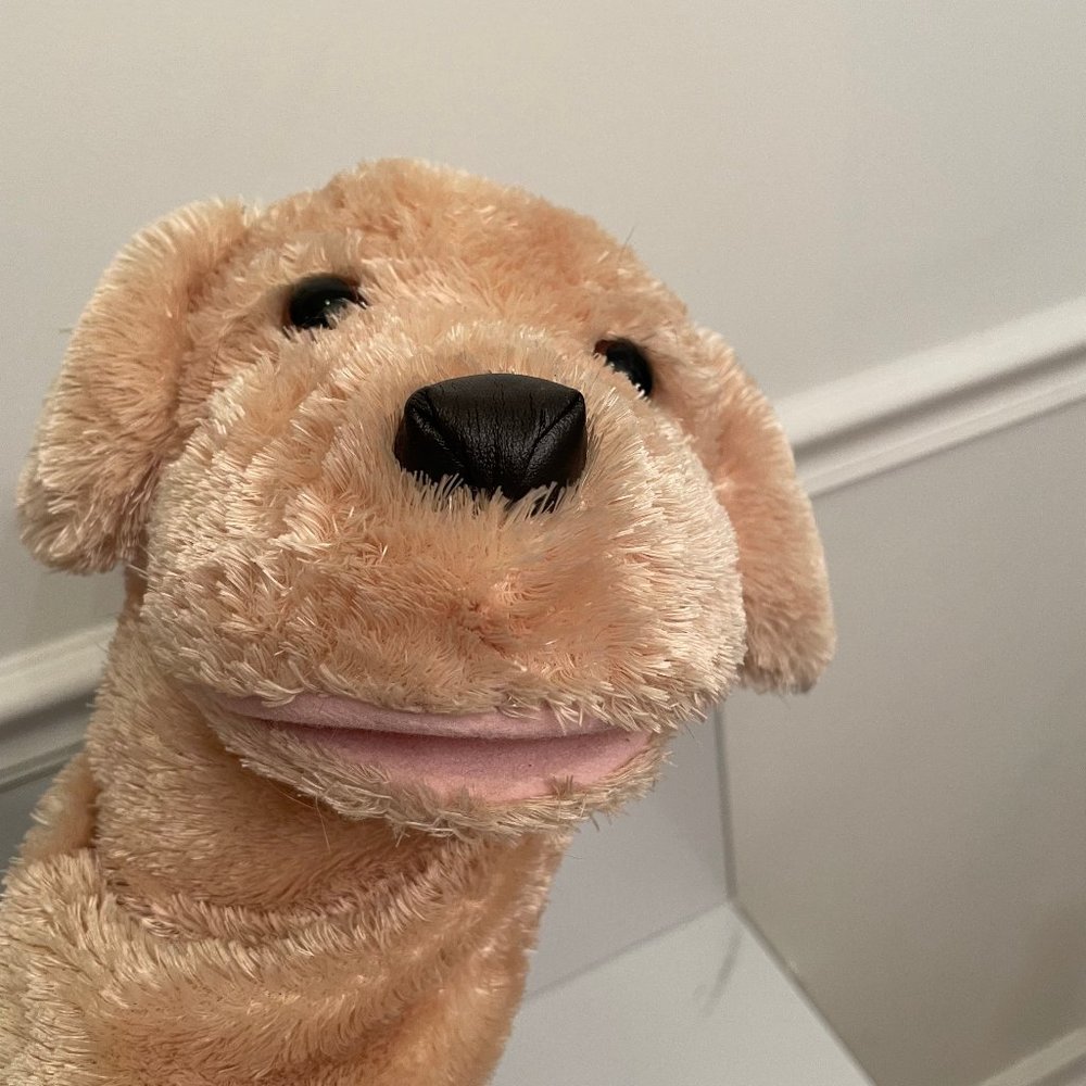 Aurora Puppy Dog Plush Hand Puppet Garth Golden Retriever 9" Stuffed Toy